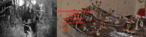 а пвп мука Александровское