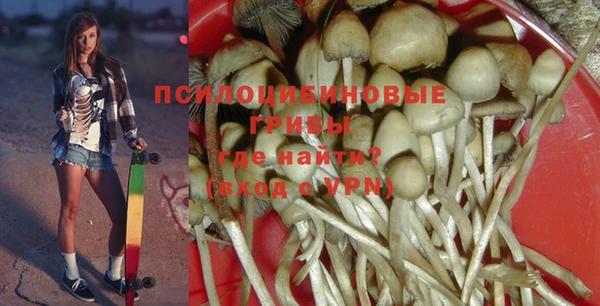 а пвп мука Александровское