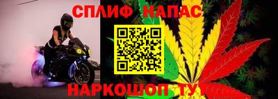 гидропоника Аргун