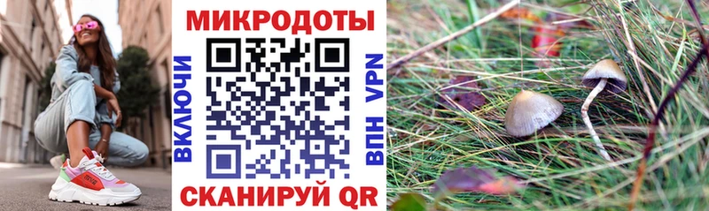 Галлюциногенные грибы прущие грибы Гурьевск