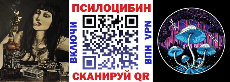 где найти   Гурьевск  Галлюциногенные грибы MAGIC MUSHROOMS 