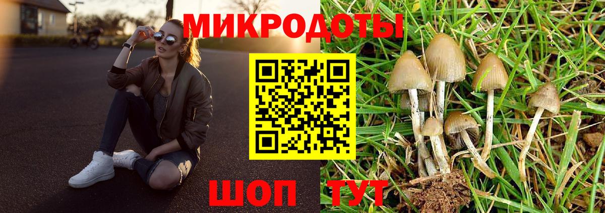 Гурьевск  Галлюциногенные грибы Cubensis  Вход с VPN 