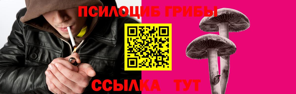 Псилоцибиновые грибы Psilocybe  сколько стоит  Гурьевск 