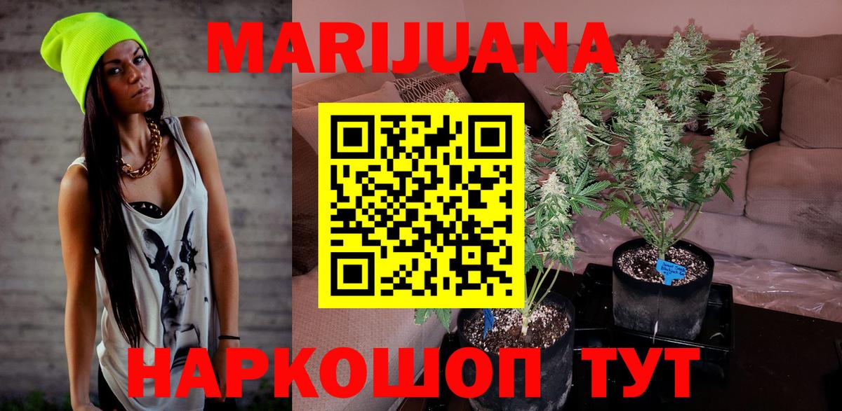 Гурьевск  Канабис конопля  Бошки марихуана MAZAR  Вход с VPN  Конопля Bruce Banner 